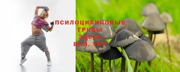 мескалин Няндома
