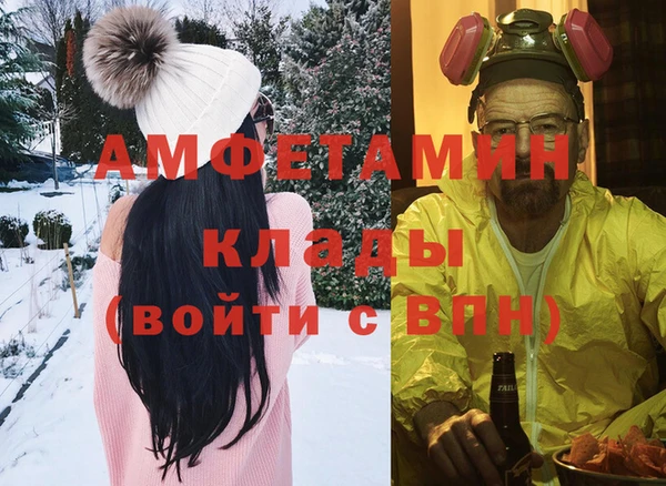 стаф Аркадак