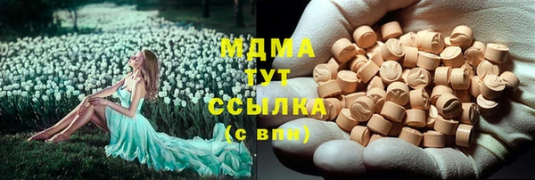 стаф Аркадак
