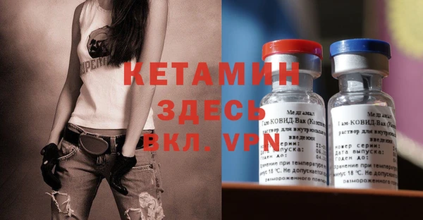 стаф Аркадак