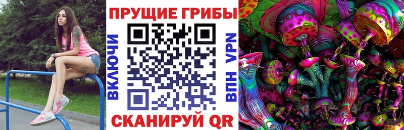 Галлюциногенные грибы ЛСД  купить закладку  Светлогорск 